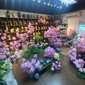 ❣️ Thử Thách Tách Cánh Nghi Lương❣️