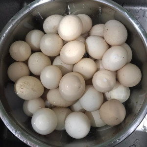 Bảo Quản Trứng Thế Nào Để Trứng Giữ Tươi Lâu Hơn?
